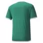 Preview: Puma teamLIGA Jersey - Pepper Green-Puma White