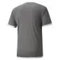 Preview: Puma teamLIGA Jersey - Smoked Pearl-Puma White