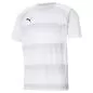 Preview: Puma teamVISION Jersey - Puma White-Glacier Gray-Puma Black