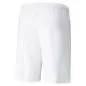 Preview: Puma teamLIGA Shorts - Puma White-Puma Black