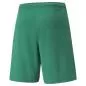Preview: Puma teamRISE Short - Pepper Green-Puma White
