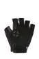 Preview: Snowlife BIOS Trail Blazer Short Glove - black/graphite