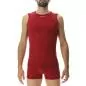 Preview: UYN Man Motyon 2.0 Sleeveless - sofisticated red
