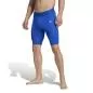 Preview: ADIDAS TF SHRT TIGHT M - ROYBLU