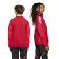 Preview: ADIDAS TIRO25CPRE JKTY - TEPORE/PURRUB