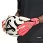 Preview: ADIDAS PRED GL PRO - IVORY/SOLTUR/GOLDMT