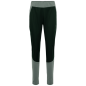 Preview: Kari Traa Louise Hybrid Pants GRÜN