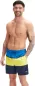 Preview: Speedo Colorblock Redondo Edge Volley Watershorts Male Adult - LEMON DRIZZLE