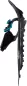 Preview: Tubbs FLEX RDG 22 women - black/blue