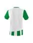 Preview: Erima Children's SIENA 3.0 Jersey - emerald/white