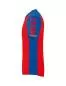 Preview: Erima Children's SIX WINGS Jersey - red/new royal