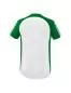 Preview: Erima Children's SIX WINGS Jersey - white/emerald