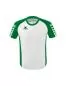 Preview: Erima Children's SIX WINGS Jersey - white/emerald