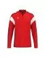 Preview: Erima CELEBRATE 125 Training Top - rot/new bordeaux