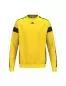 Preview: Erima CMPT 3 Wings Sweatshirt GK for Children- yellow/black