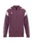 Preview: Erima CELEBRATE 125 Training Jacket with hood - burgundy/lavender