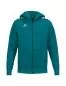 Preview: Erima CMPT Wings Hoody Jacket - tahitian blue
