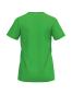 Preview: Erima Frauen INTRO Shirt function - green