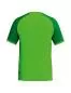 Preview: Erima WINGS Jersey Shortsleeve für Kinder- green gecko/smaragd