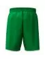 Preview: Erima WINGS Shorts without inner slip für Kinder- smaragd