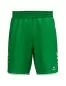 Preview: Erima WINGS Shorts without inner slip - smaragd