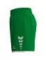 Preview: Erima Frauen WINGS Shorts without inner slip - smaragd