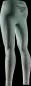 Preview: X-BIONIC Women Invent FX Pants - sage green light grey optical white