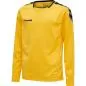 Preview: Hummel Hmlauthentic Kids Poly Jersey L/S - sports yellow/black