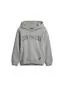Preview: Hummel Stsocean Hoodie - light grey melange