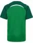 Preview: Hummel Hmllead 2.0 Jersey S/S Kids - jelly bean/evergreen