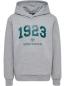 Preview: Hummel Hmlnipps Hoodie - light grey melange