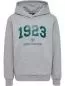 Preview: Hummel Hmlnipps Hoodie - light grey melange