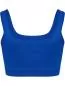 Preview: Hummel hmlPulse Seamless Rib Bra - surf the web