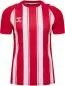 Preview: Hummel hmlMatch Striped Jersey S/S - true red/white