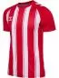 Preview: Hummel hmlMatch Striped Jersey S/S - true red/white