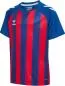 Preview: Hummel Hmlmatch Striped Jersey S/S Kids - True Blue/True Red