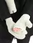 Preview: Icebreaker Unisex RealFleece High Pile Mittens - ecru hthr