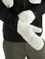 Preview: Icebreaker Unisex RealFleece High Pile Mittens - ecru hthr