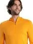 Preview: Icebreaker Men Merino 200 Sonebula LS Half Zip Hood - earth