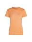 Preview: Icebreaker Women Merino Mer 150 Tech Lite SS T Winter Flo - feldspar