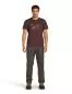 Preview: Icebreaker Men Merino 150 Tech Lite SS Tee In The Wild - java