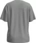 Preview: Icebreaker Women Merino 150 Tech Lite SS Relaxed Tee - proto grey
