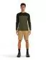 Preview: Icebreaker Men Merino Blend 125 Cool-Lite Sphere LS Tee Colour Block - dk loden
