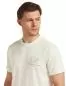 Preview: Icebreaker Men Merino 150 Tech Lite SS Tee Peaceful Pass - ecru hthr