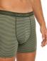 Preview: Icebreaker Men Merino 150 Anatomica Boxers - lichen