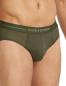 Preview: Icebreaker Men Merino 150 Anatomica Briefs - dk loden