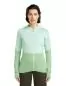Preview: Icebreaker Women Merino Blend 200 RealFleece Descender LS Zip Hoodie - mint