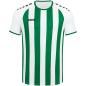 Preview: Jako Trikot Inter KA - weiß/sportgrün