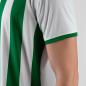Preview: Jako Trikot Inter KA - weiß/sportgrün