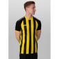 Preview: Jako Trikot Inter KA - schwarz/citro